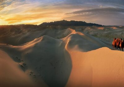 GOBI 10D: Desert to Dynasty: The Grand Mongolian Expedition