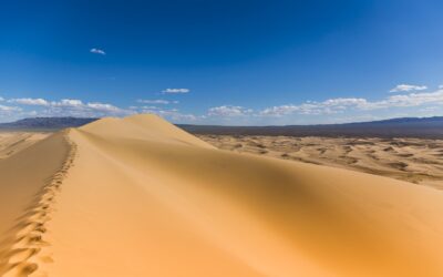 Gobi 9 night 10 days
