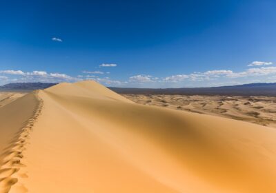 Gobi Desert & Central Mongolia Adventure — 10 Days / 9 Nights