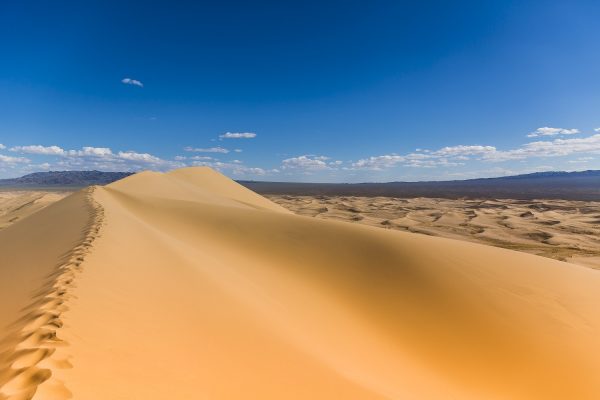 Gobi 9 night 10 days