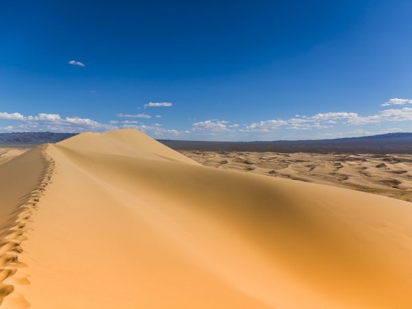 Gobi 9 night 10 days