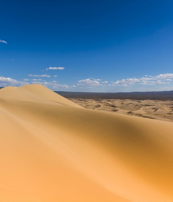 Gobi 9 night 10 days