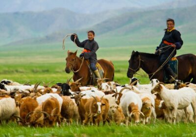 Nomadic Homestay & Cultural Travel Experience