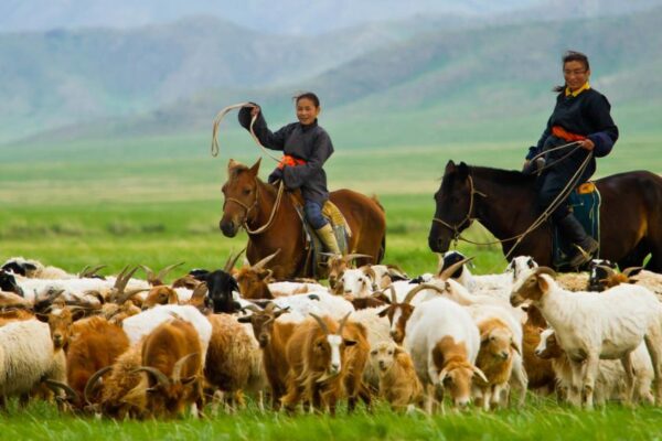 Nomadic Homestay & Cultural Travel Experience