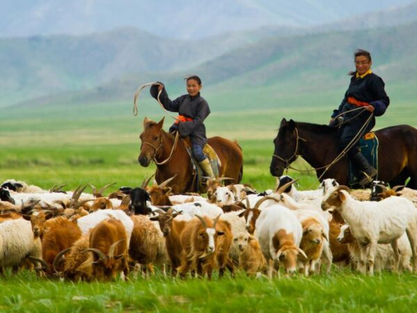 Nomadic Homestay & Cultural Travel Experience