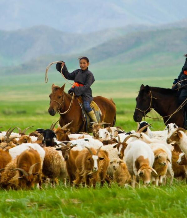 Nomadic Homestay & Cultural Travel Experience