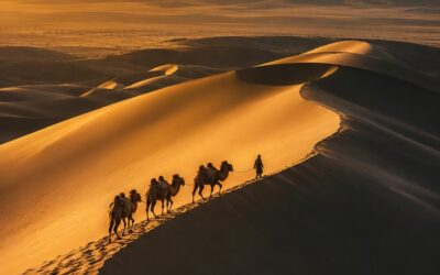Gobi Desert Expedition — 5 Days / 4 Nights