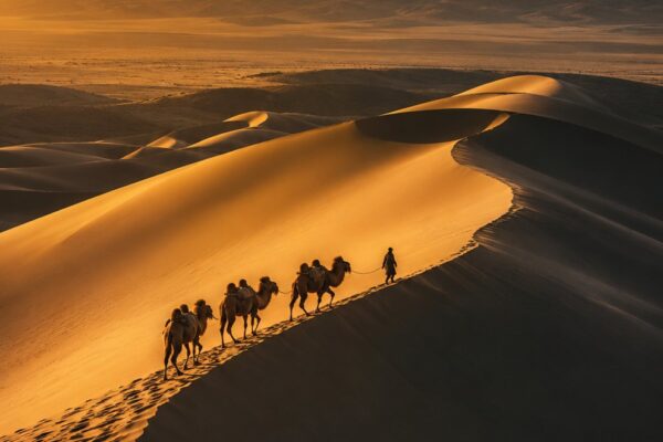 Gobi Desert Expedition — 5 Days / 4 Nights
